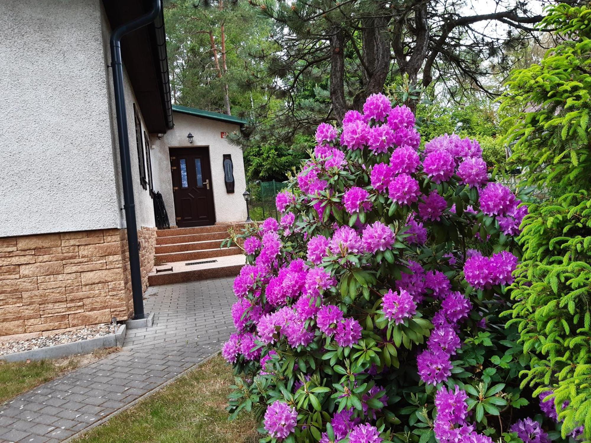 Chata Rynartice 7 Jetřichovice Exteriör bild